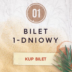 Bilet 1-dniowy na Rum Love Festiwal